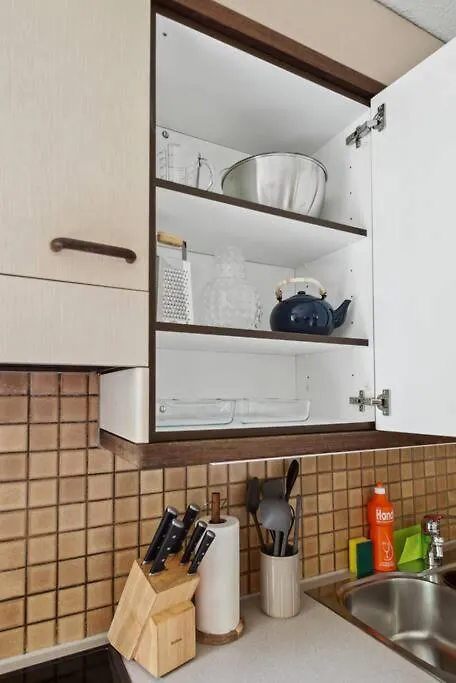 Spacious Apartment In The Heart Of Zurich Zltwg68 سويسرا